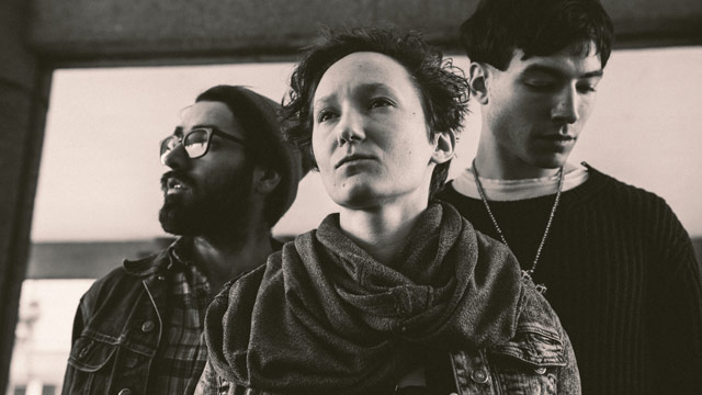 Album Premiere: Sons of an Illustrious Father, 'Revol'